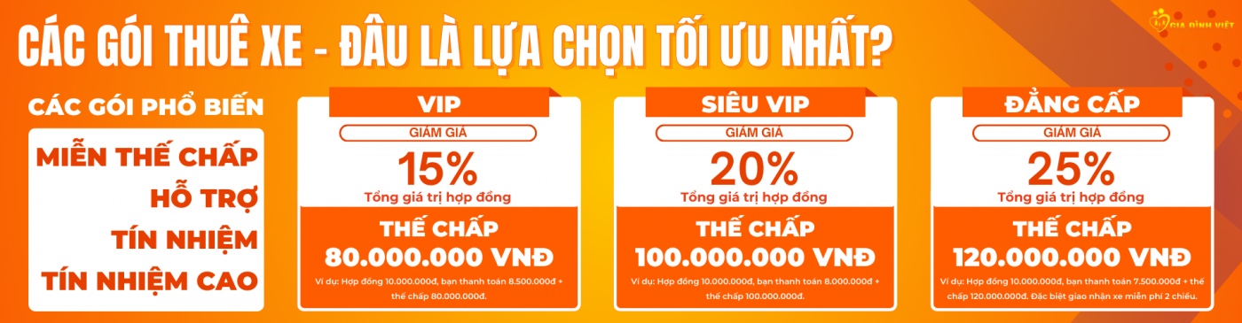 Thuê xe gia đình việt 6